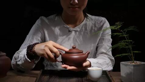 茶豆养生，健康生活新主张
